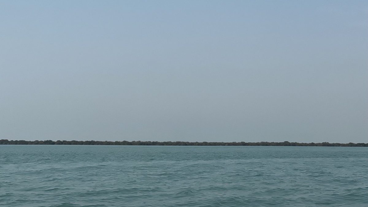 داستانک «وقتی برگشت»