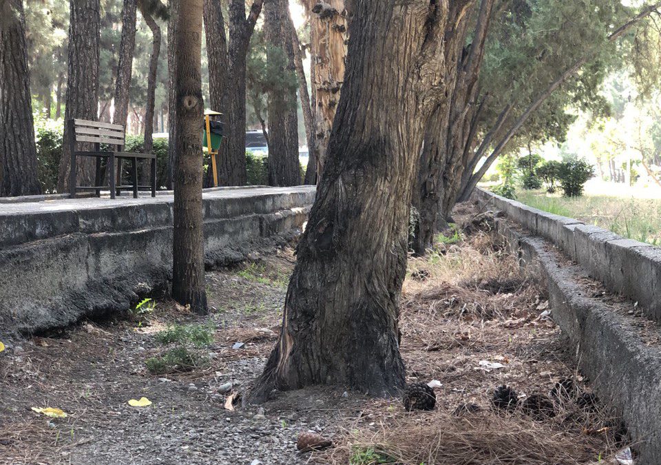 «درد بی‌سوادی»