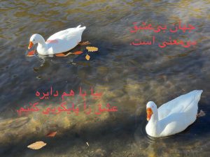 جهان بی‌عشق بی‌معنی است. بیا با هم دایره عشق را پایکوبی کنیم.
