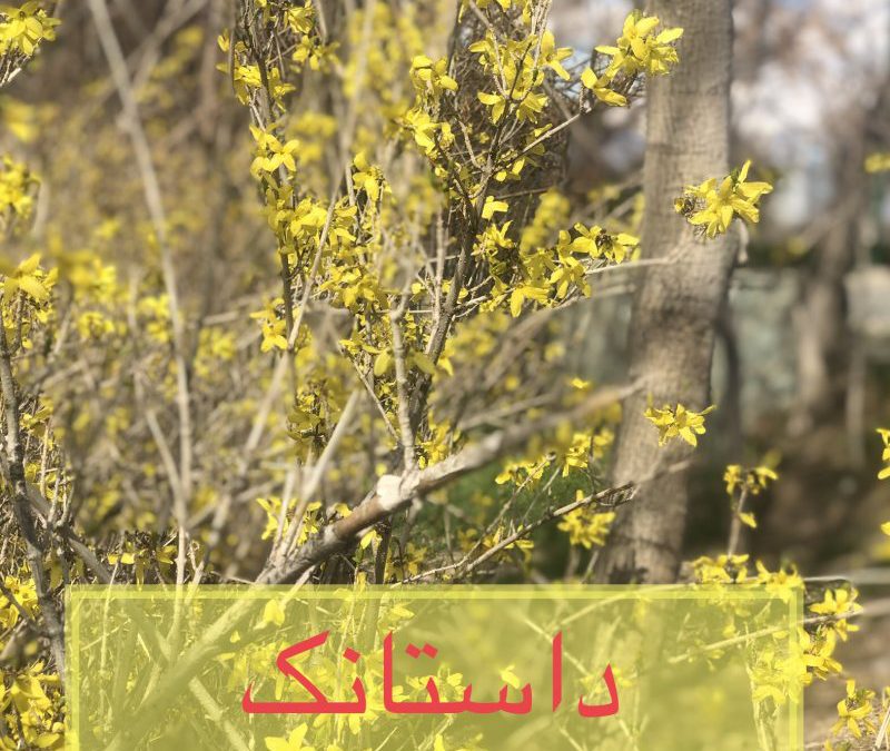 داستانک «موطلایی من»