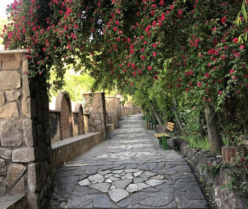 «هیچ‌کس»