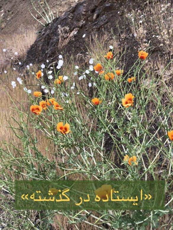 ایستاده در گذشته