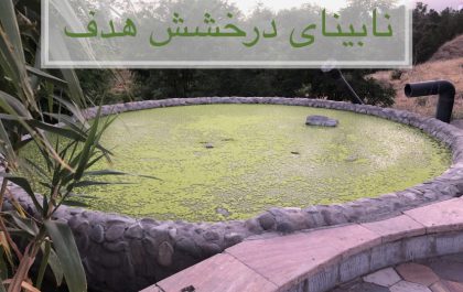 نابینای درخشش هدف