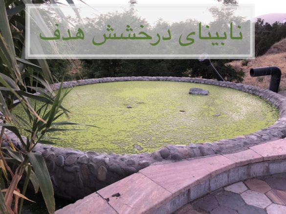 نابینای درخشش هدف