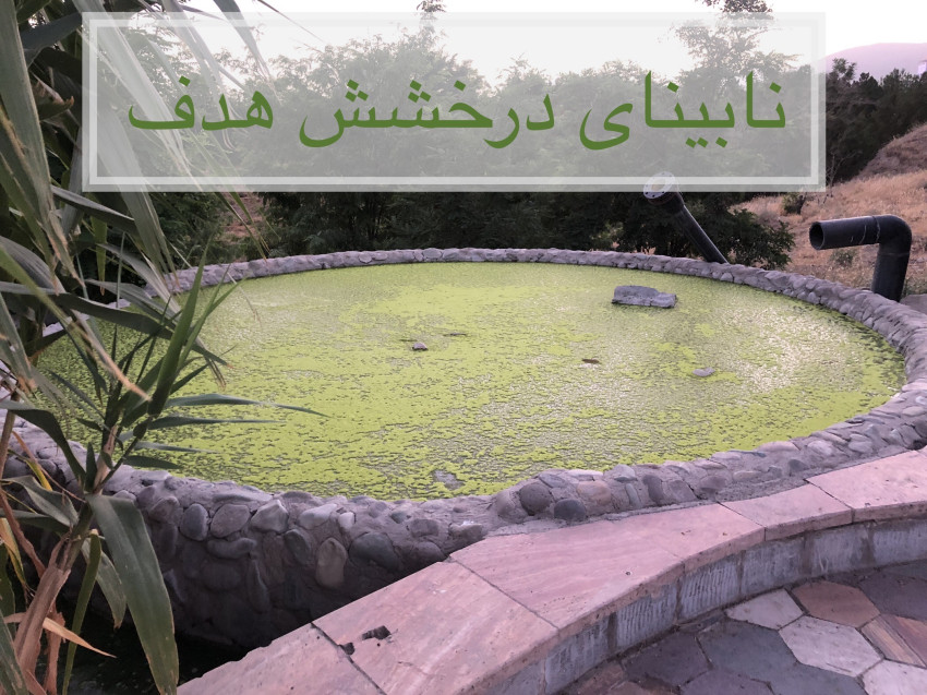 «نابینای درخشش هدف»