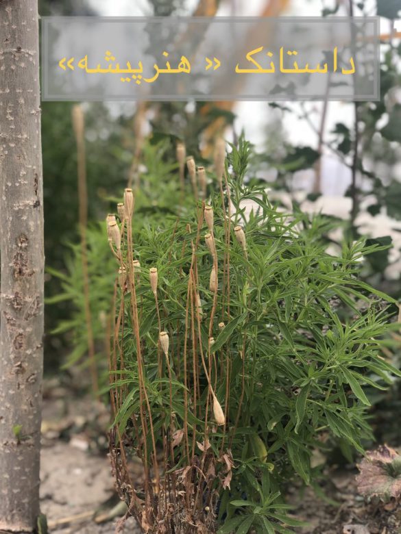 داستانک کوتاه قصه‌ای خیلی خیلی کوتاه برای دنیای امروز است. سریع می‌گوید، نفس نکشیده به آخر داستانک رسیده‌ای. آخری که تمام نمی‌شود.