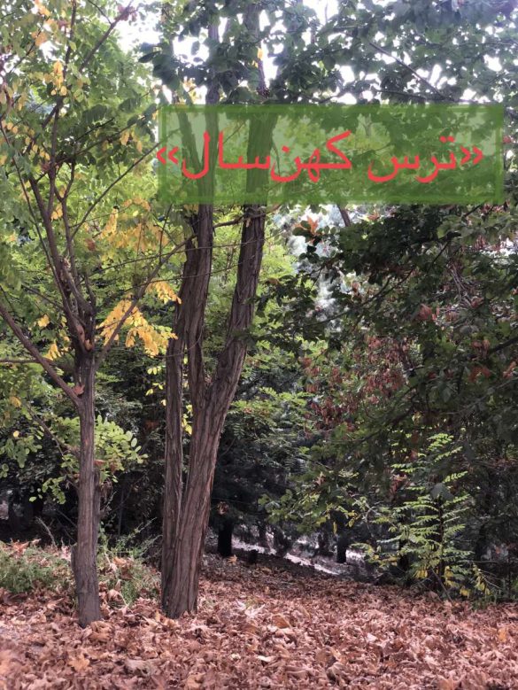 عکس داستانک ترس کهن سال